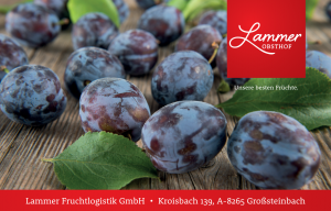 Lammer Fruchtsaftlogistik GmbH
